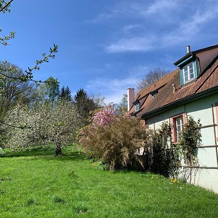 Ferienwohnung In Historischer Muehle Buchen  Exterior foto