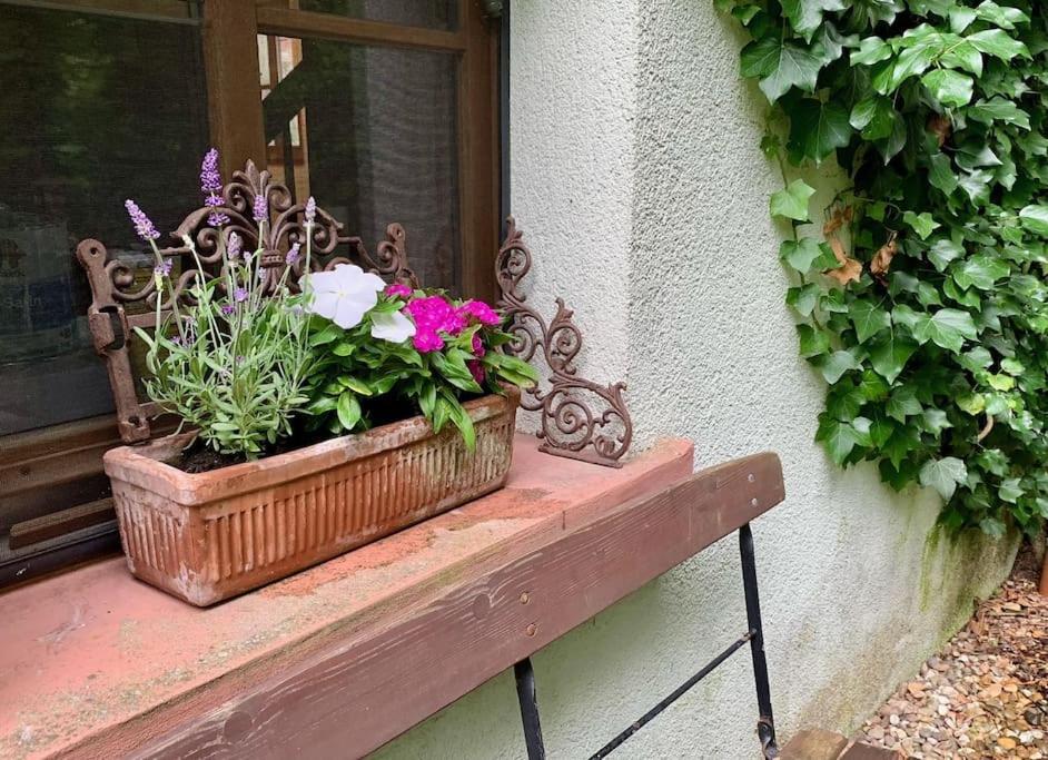 Ferienwohnung In Historischer Muehle Buchen  Exterior foto