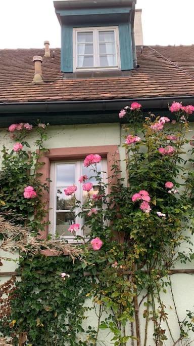 Ferienwohnung In Historischer Muehle Buchen  Exterior foto