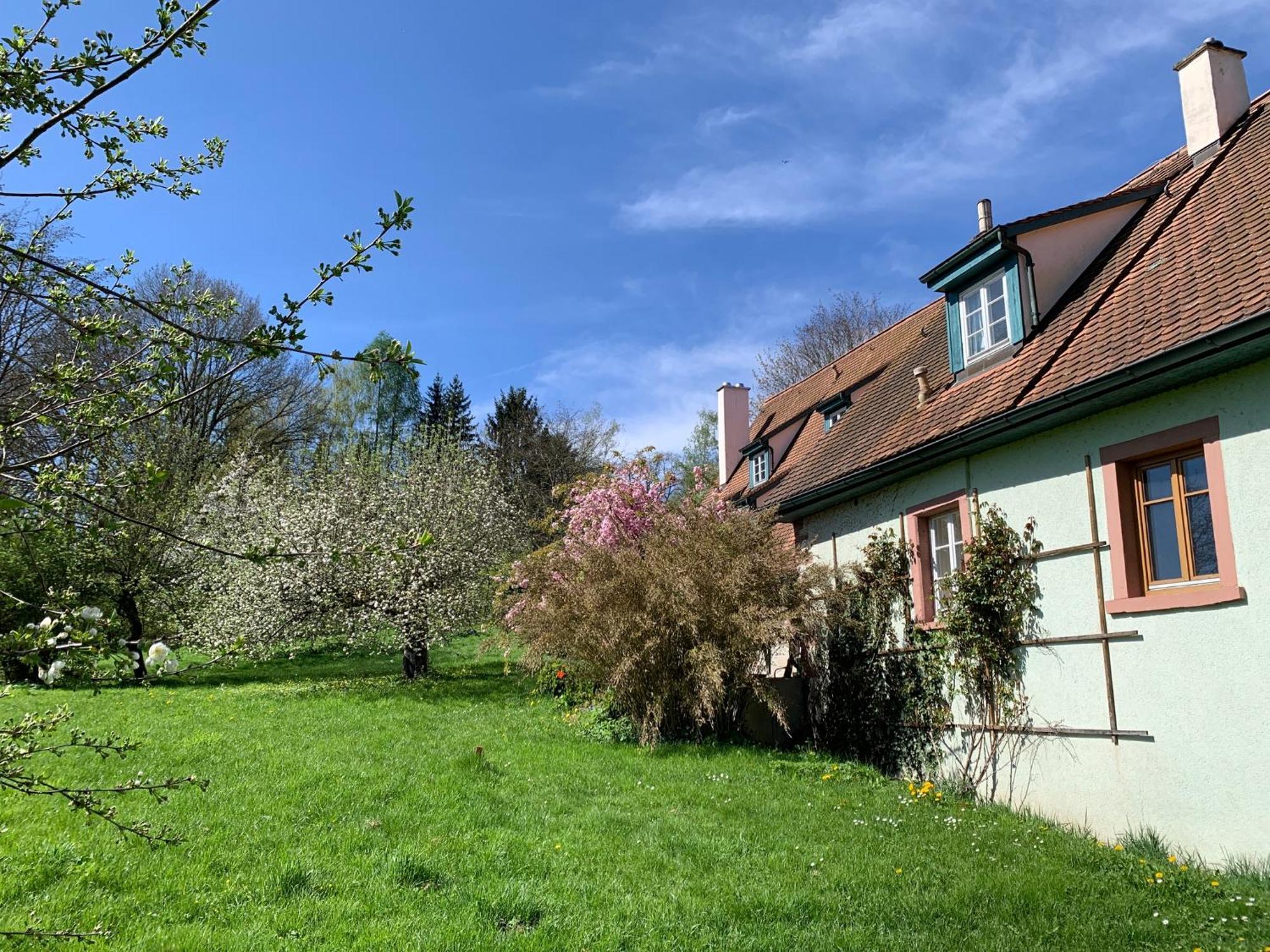 Ferienwohnung In Historischer Muehle Buchen  Exterior foto